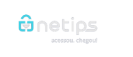 Netips Export Logo